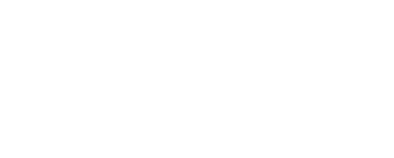 2-Trina-Solar.png