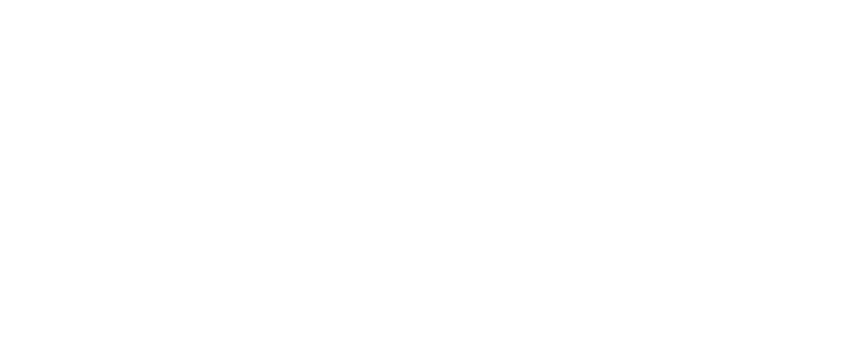 9-Goodwe.png